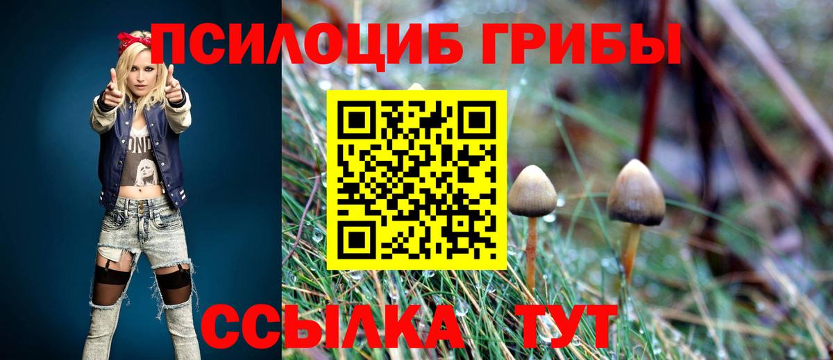 Галлюциногенные грибы Cubensis Сертолово