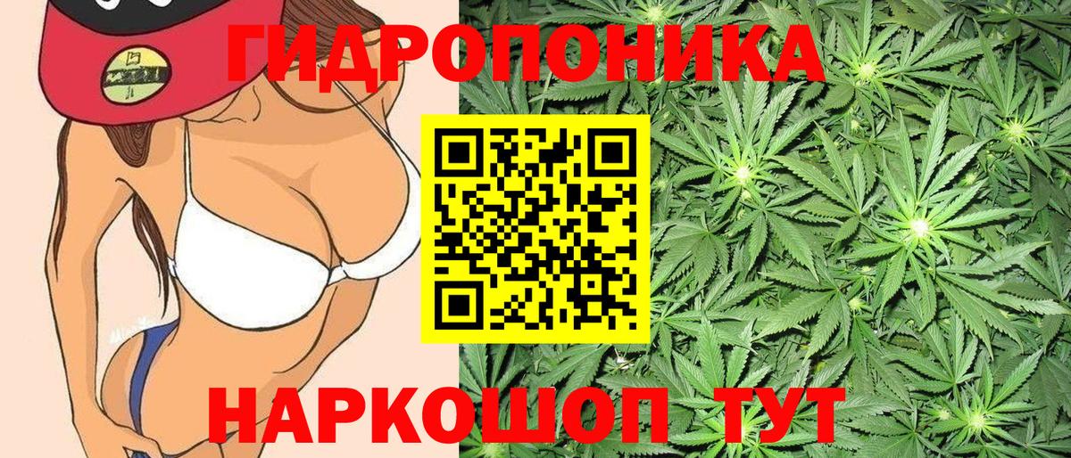 Сертолово  МАРИХУАНА OG Kush  Конопля AK-47  Вход с VPN  Бошки Шишки сатива 